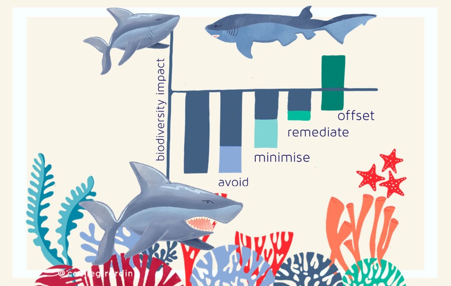 Illustration of sharks and graph