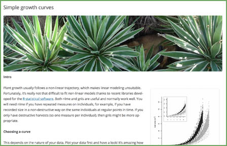 Plant ecology website homepage