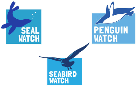 Polar Ecology and Conservation Group's Set of 3 logos, seabird, penguin, seal