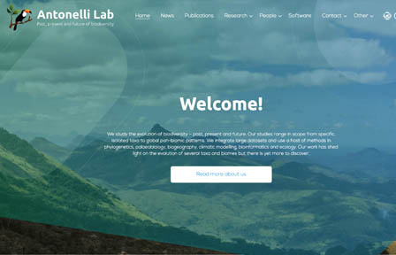 Sceenshot of antonelli lab homepage