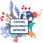 Temporary Logo