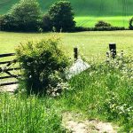 Gate in the uk countryside