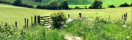 Gate in the uk countryside