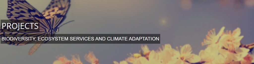 screen shot from lab website with butterfly and blossom