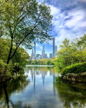 city skyline reflected in water