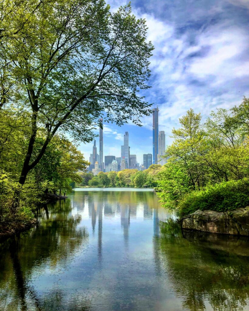 city skyline reflected in water