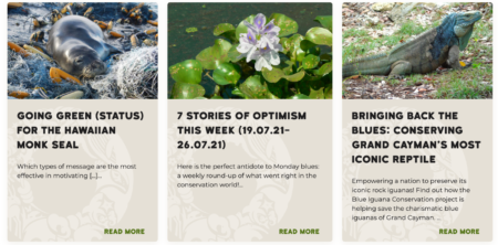 screencapture of blog posts, featuring a seal in marien waste, and lilly pad and flower and a reptile