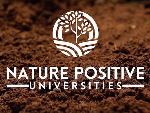 Nature positive logo