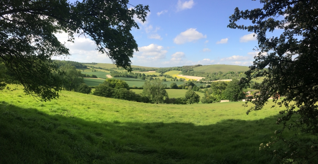 Green fields, hedegrows and blue sky above