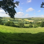 Green fields, hedegrows and blue sky above