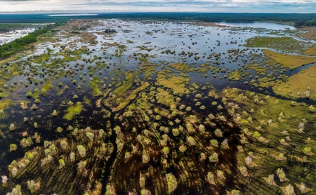 view across a flooded landscape with tops of trees showing