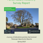 features the front cover of the report, image with a tree blue sky and grass