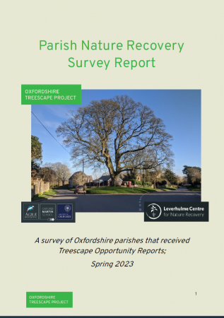features the front cover of the report, image with a tree blue sky and grass
