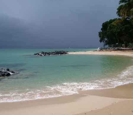 Sandy beach in the foreground with trees to the beach, blue sea and stormy skies above